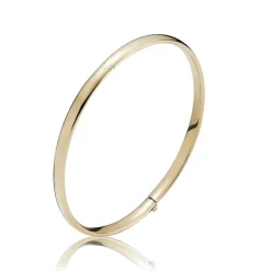 BNH ARMRING AMERICA HUL 14 KARAT GULD DIAMETER 6 CM - AR14SC00260