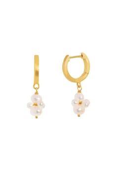 BYBIEHL PEARL CLUSTER HOOP ØRERINGE SØLV FORGYLDT - 4-1510WP-GP