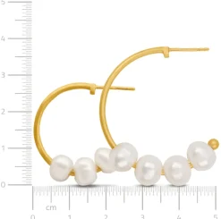 BYBIEHL ØRERINGE SØLV FORGYLDT EMILY HOOPS SMALL - 4-4700WP-GP