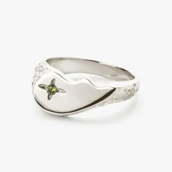 CAMILLE BRINCH SHINY BFF - SBSPR