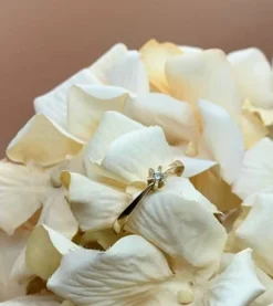 CHRISTOFFERSEN JEWELLERY 14 KARAT GULD CARLA RING MED BRILLANT 0,05 CT. W/SI - 5000153