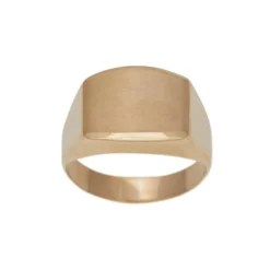 SIERSBØL RING 8 KARAT GULD MED PLADE - 182 001 3