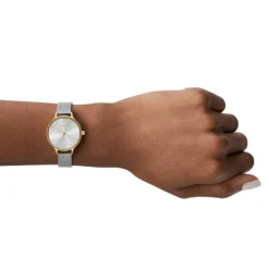 SKAGEN ANITA LILLE UR DAME STÅL MED MESH LÆNKE - SKW2340