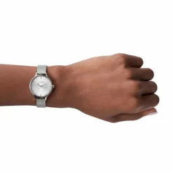 SKAGEN ANITA LILLE UR DAME MED MESH LÆNKE - SKW2149