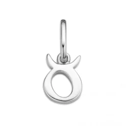 SPIRIT ICONS STJERNETEGN TYR VEDHÆNG SØLV - 60011