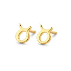 SPIRIT ICONS STJERNETEGN TYR ØRERINGE SØLV FORGYLDT - 41032