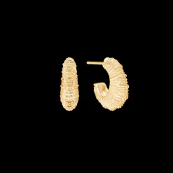 STUDIO Z SEASHELL SECRETS SØLV FORGYLDT ØRERINGE- 7210907