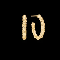 STUDIO Z URCHIN ELEGANCE SØLV FORGYLDT ØRERINGE - 7210917