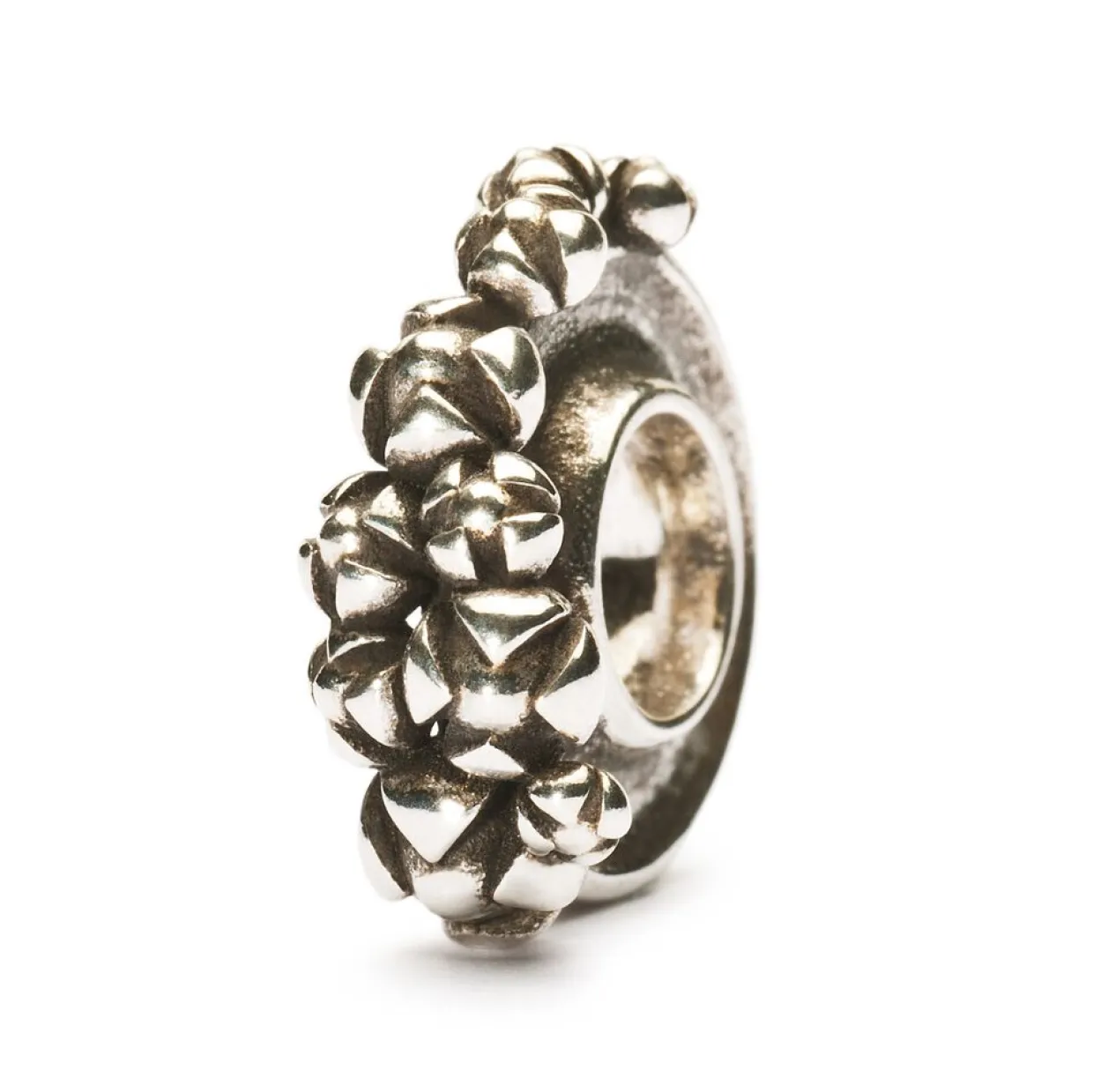 TROLLBEADS BOUGAINVILLEA SØLV KUGLE - TAGBE-10020