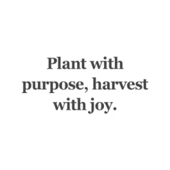 TROLLBEADS MORGENSDAGENS HØST GLASKUGLE - TGLBE-20402