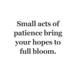 TROLLBEADS PERLER AF TÅLMODIGHED - TAGBE-00308